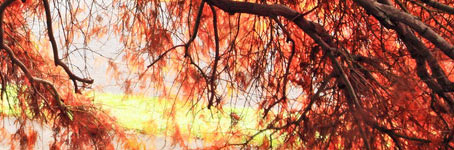 ddos流量攻击购买