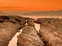 ddos流量攻击购买